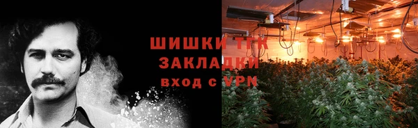 гидра Балахна