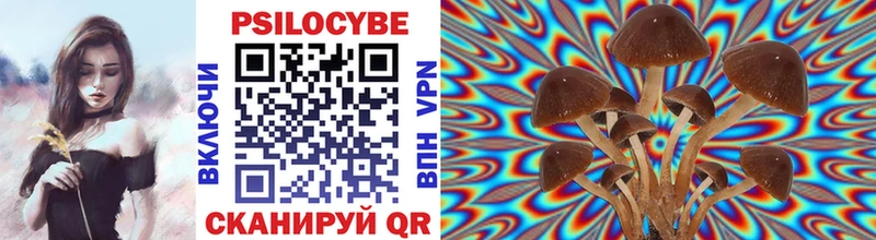 Галлюциногенные грибы Psilocybe Ужур